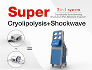 Grosse machine portative de thérapie d'onde de choc de Cryolipolysis de gel