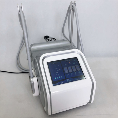 La grosse machine de traitement de cellulites de machine de congélation de Cryolipolysis avec le muscle stimulent la fonction