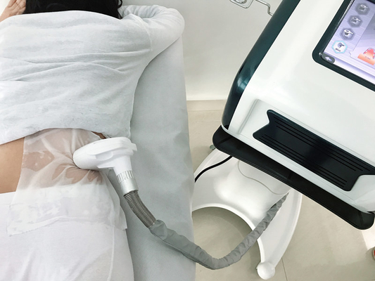 Machine de congélation fraîche de Sculting 220V Cryolipolysis d'écran tactile grosse