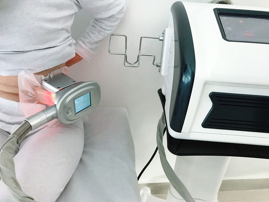 Machine de congélation fraîche de Sculting 220V Cryolipolysis d'écran tactile grosse