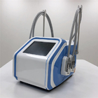 Machine portative légère de physiothérapie de SME, machine à la maison de Cryolipolysis