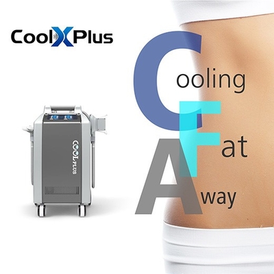 La grosse machine de régime de congélation de vente de machine chaude de Cryo avec double Cryo manipule la cavitation ultrasonique rf gros FreezeSlimming