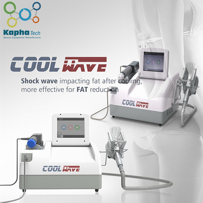 Machine de régime fraîche de Cryolipolysis de thérapie d'onde de choc grosse pour la forme de corps