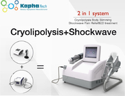 Machine de congélation fraîche de Cryolipolysis d'onde de choc portative d'ED grosse