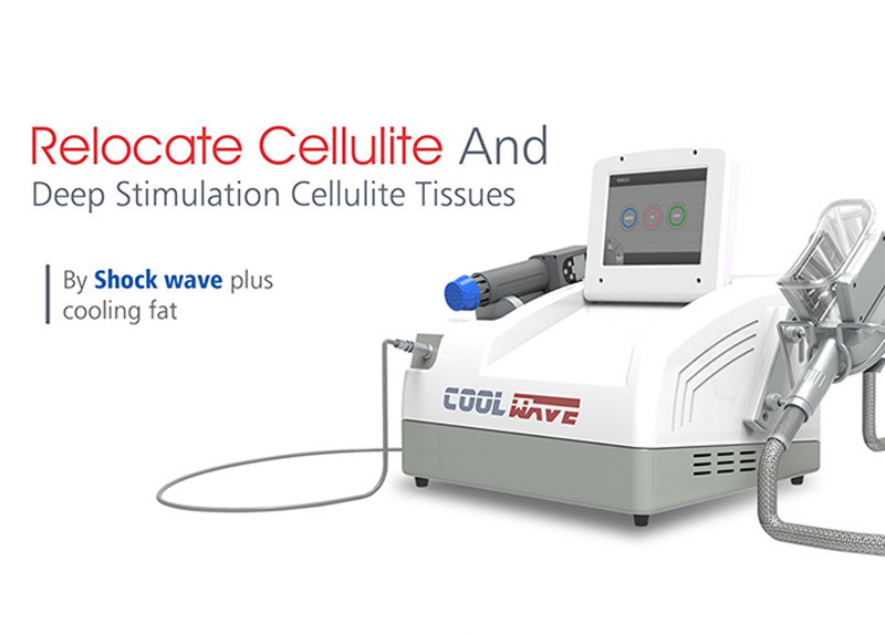 VAGUE FRAÎCHE Cryotherapy amincissant la machine /Fat gelant l'équipement de Cryolipolyse avec l'enlèvement de cellulites d'onde de choc