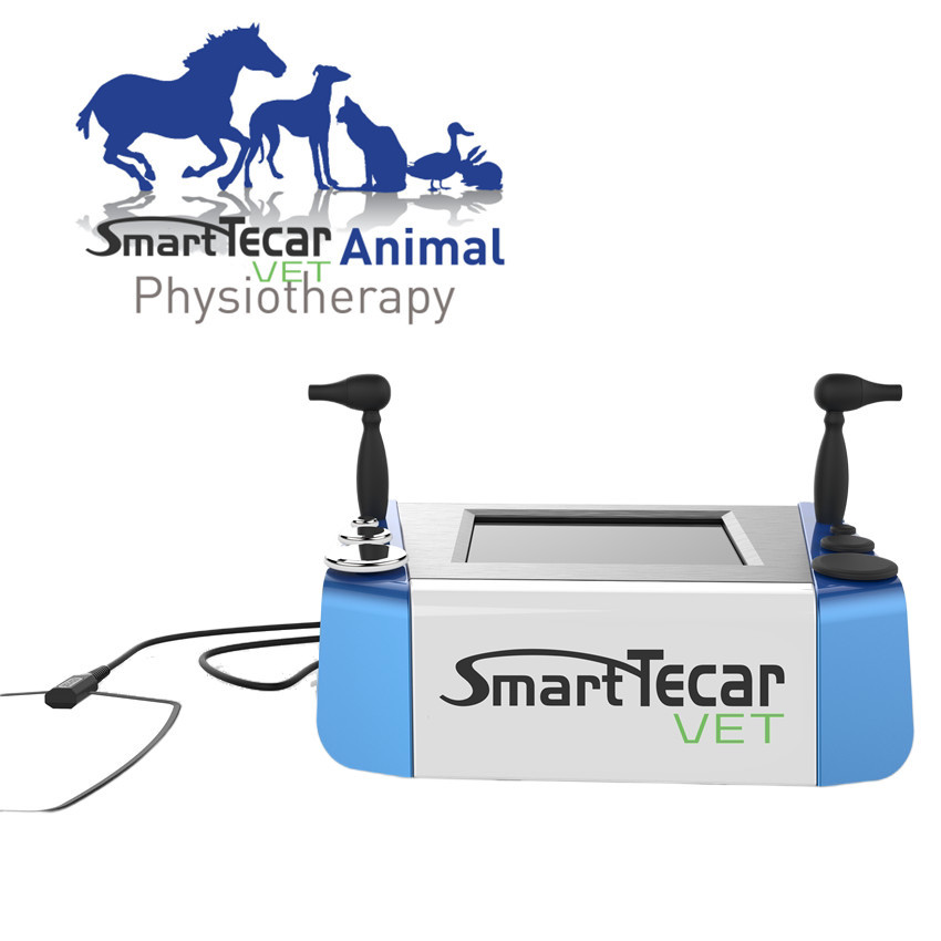 Machine vétérinaire portative de thérapie de Tecar de physiothérapie pour le soulagement de la douleur de chats de chiens de cheval d'animal familier